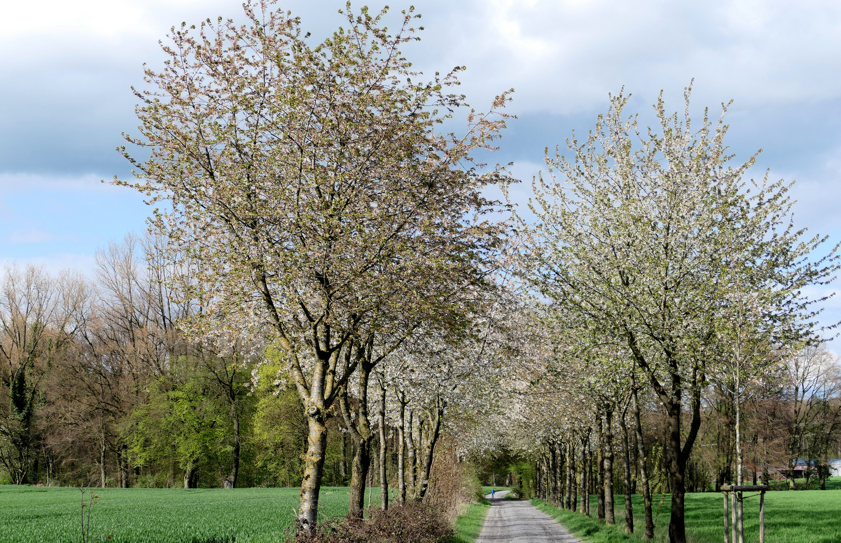 Findet etwas Blau