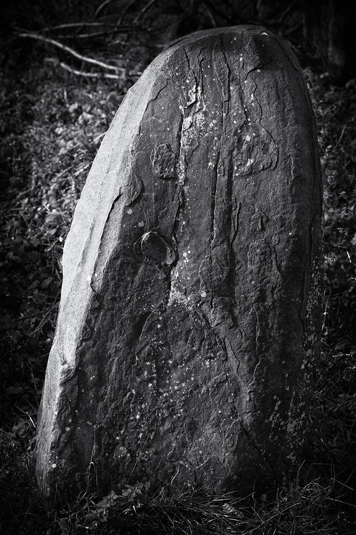 "Findling" am Wilden Kermeter (Rureifel)