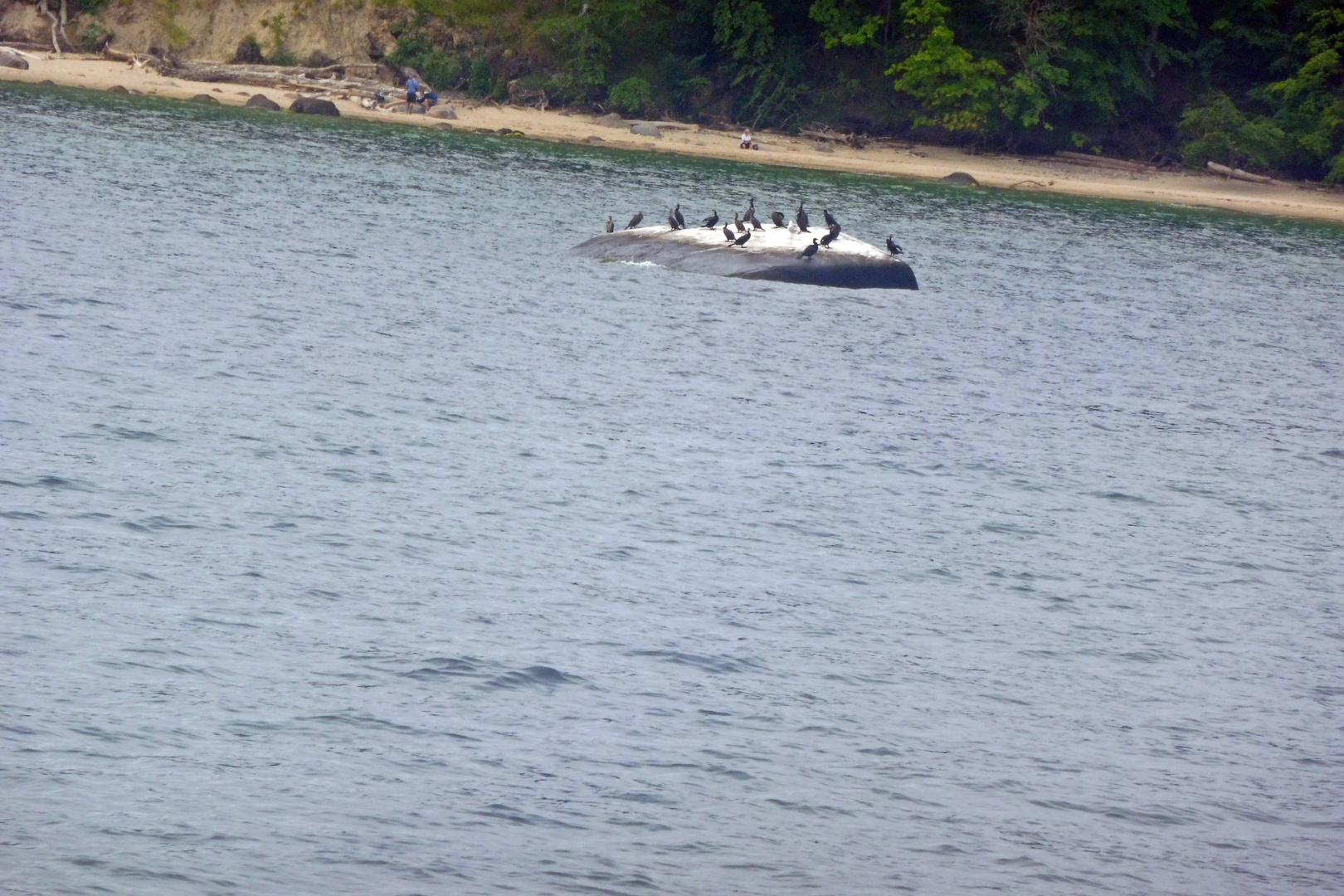 Findling - Kormoraninsel - vor Rügen