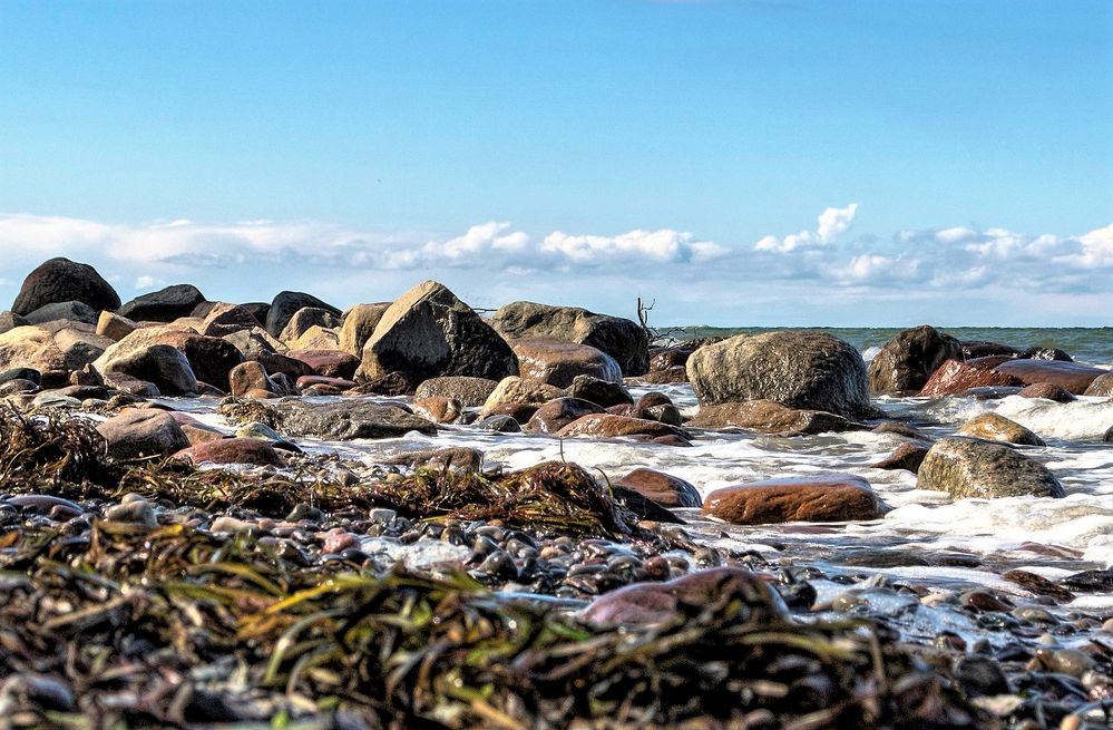 Findlinge am Ostseestrand Heiligendamm