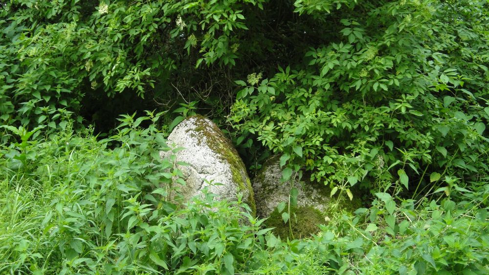 Findlinge vor den Nebengebäuden