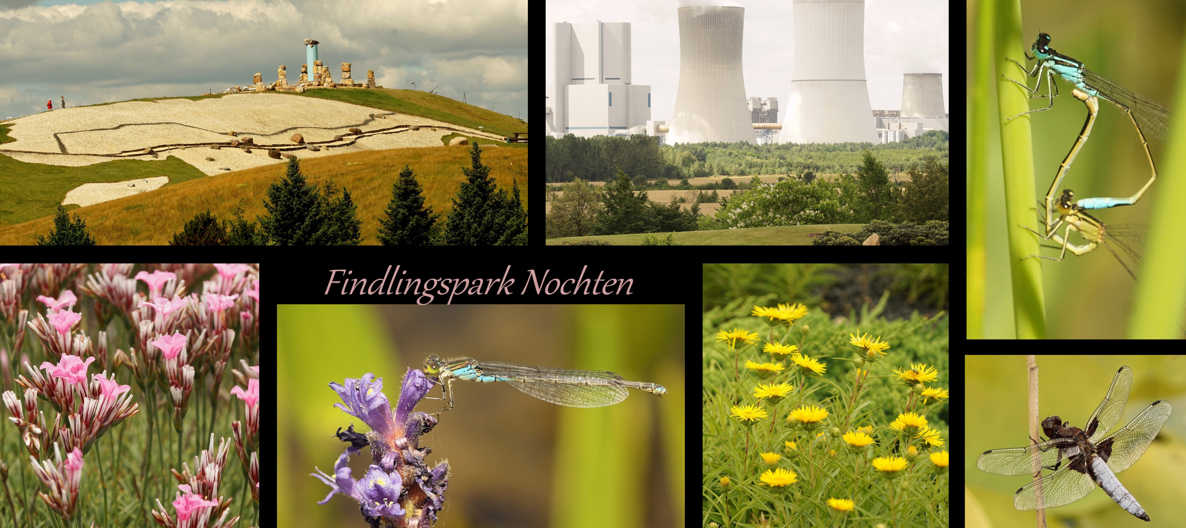 Findlingspark Nochten