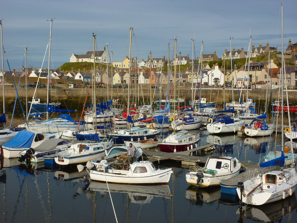 Findochty harbour 2