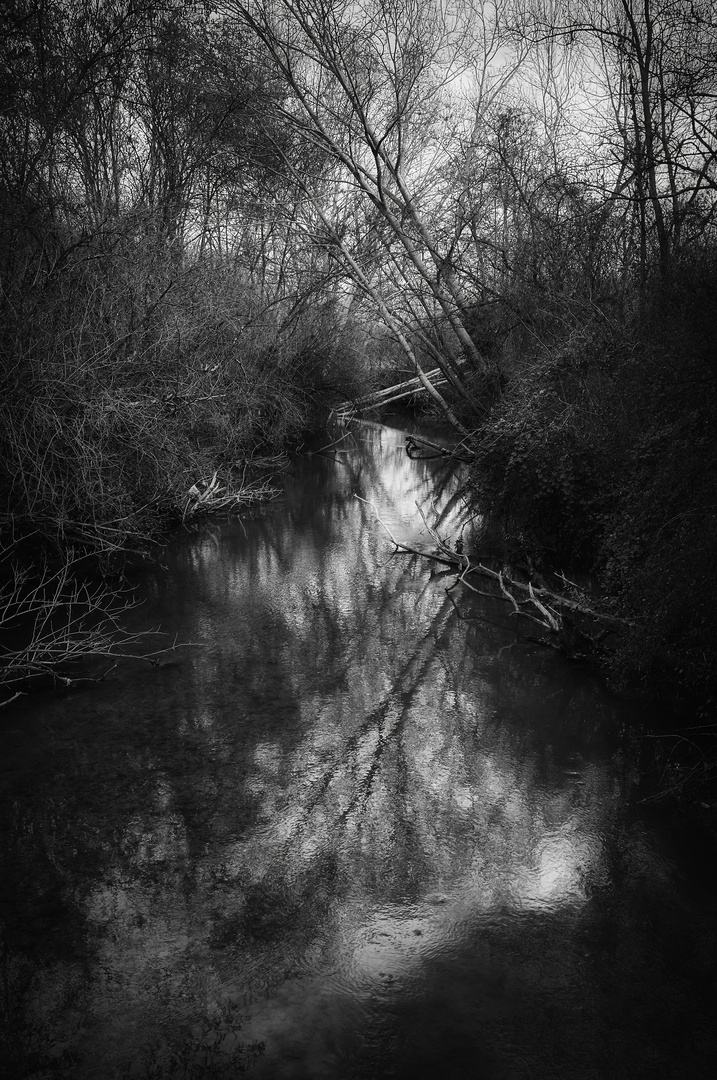 Fine Autunno sul Fiume Elsa