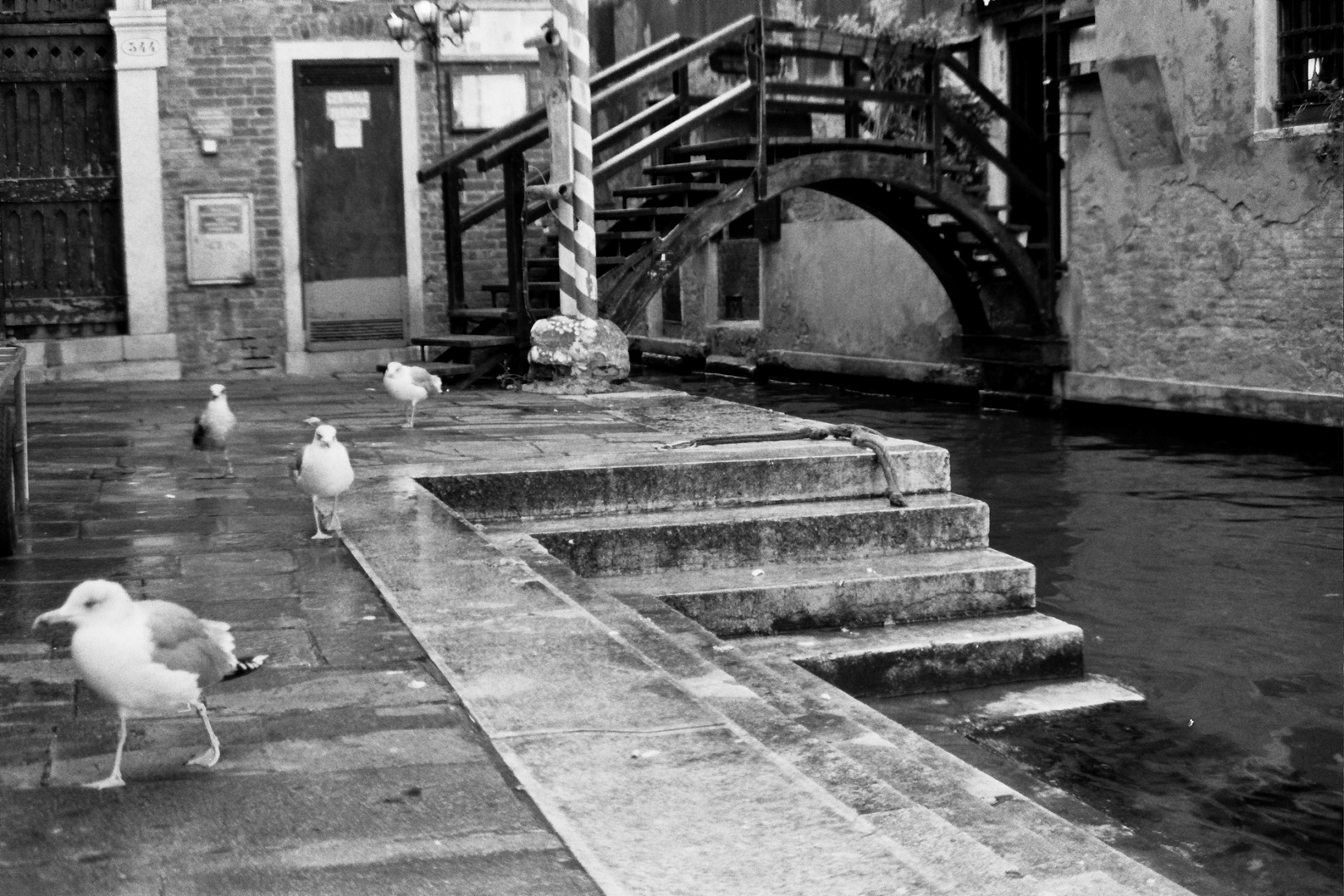 fine estate al mercato del pesce a venezia