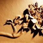 Fine leather carving—Peony