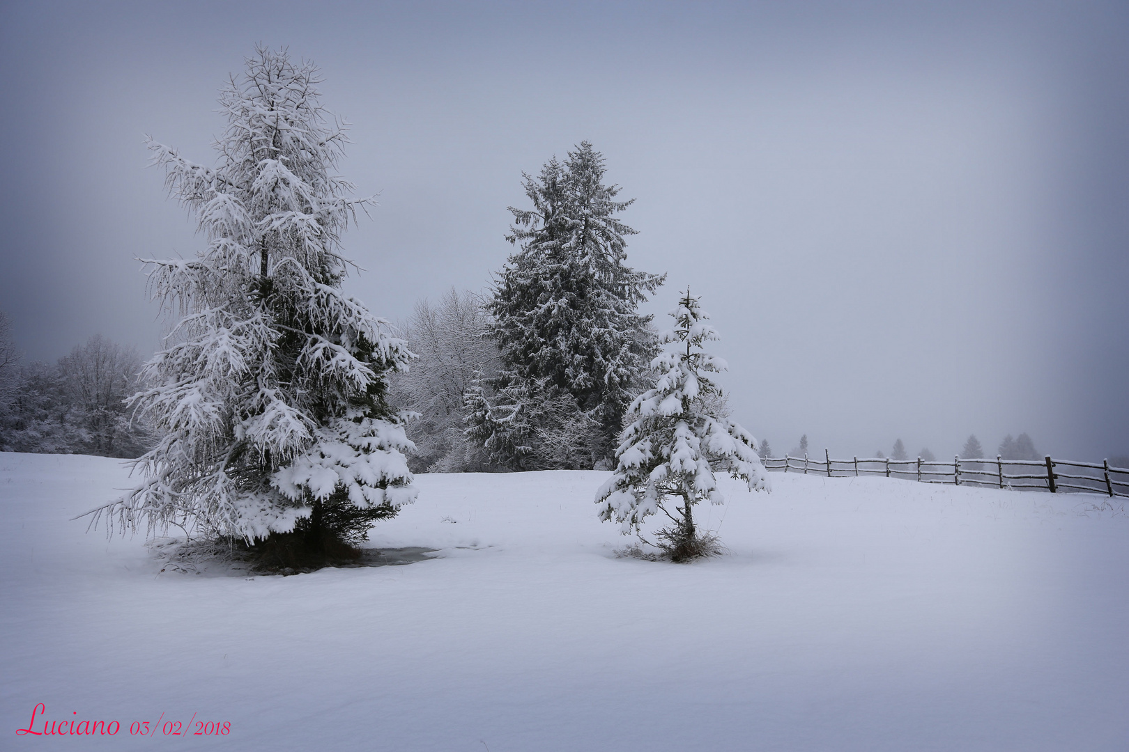 fine nevicata