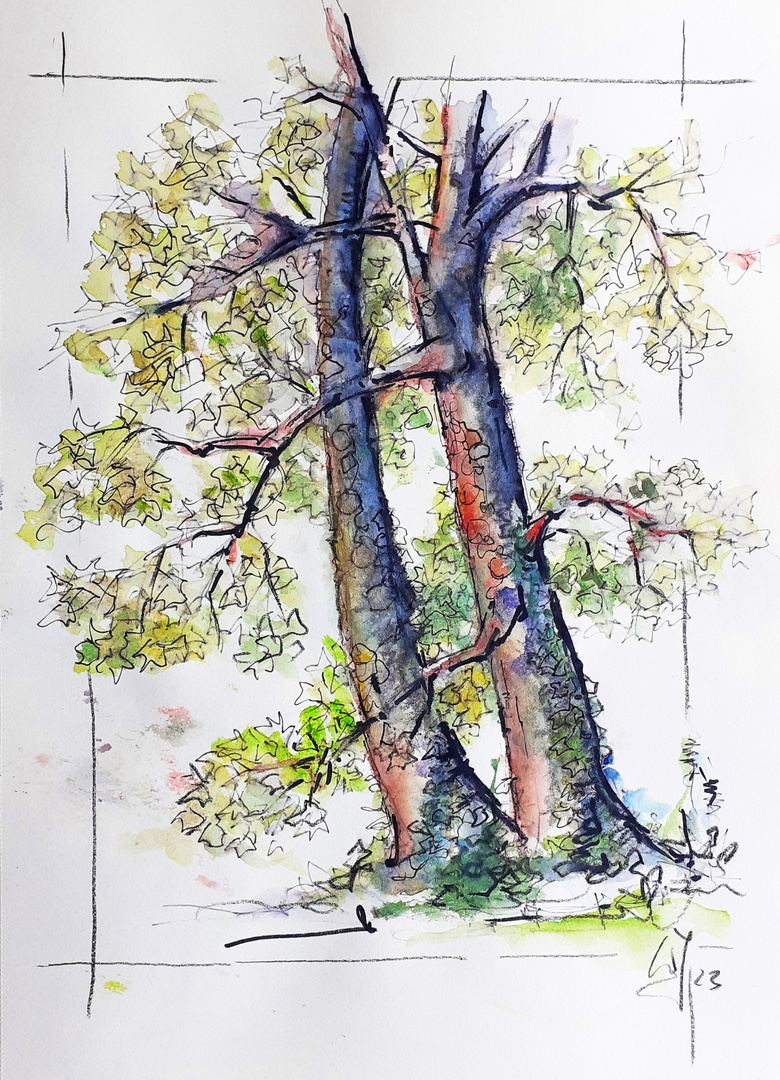 Fineliner-Aquarell_Baum Eggenberg plein air_ACTION Skizzenbuch_30x42