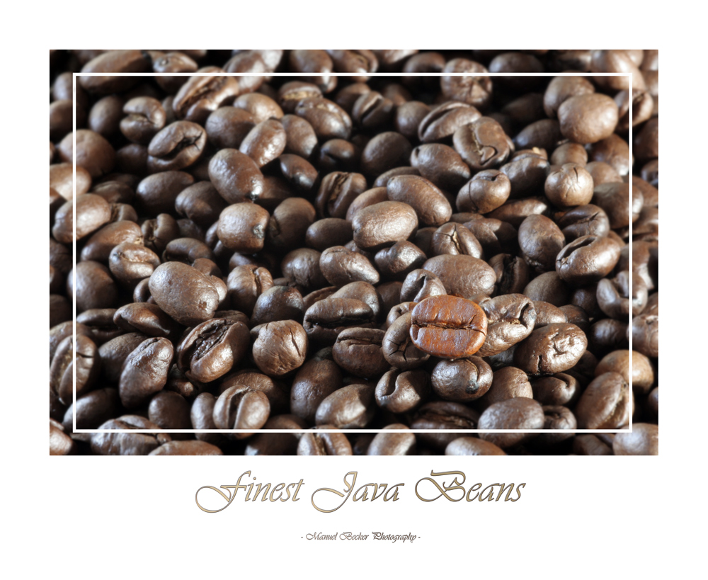 Finest Java Beans