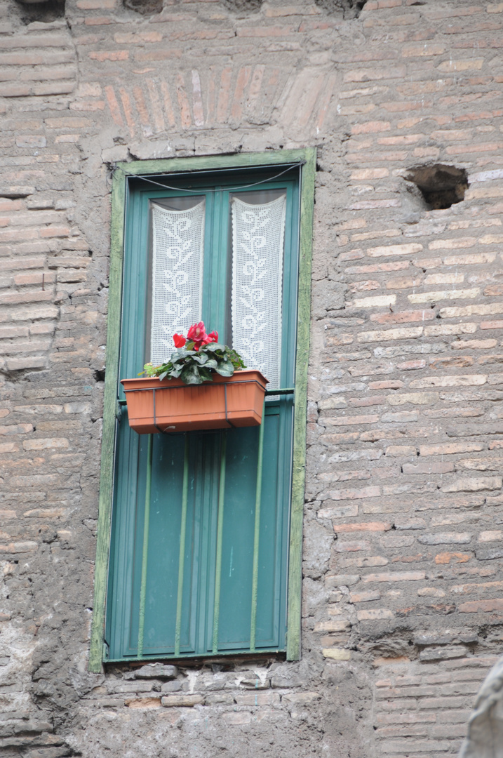 Finestra a Portico d'Ottavia