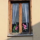 finestra con fiori