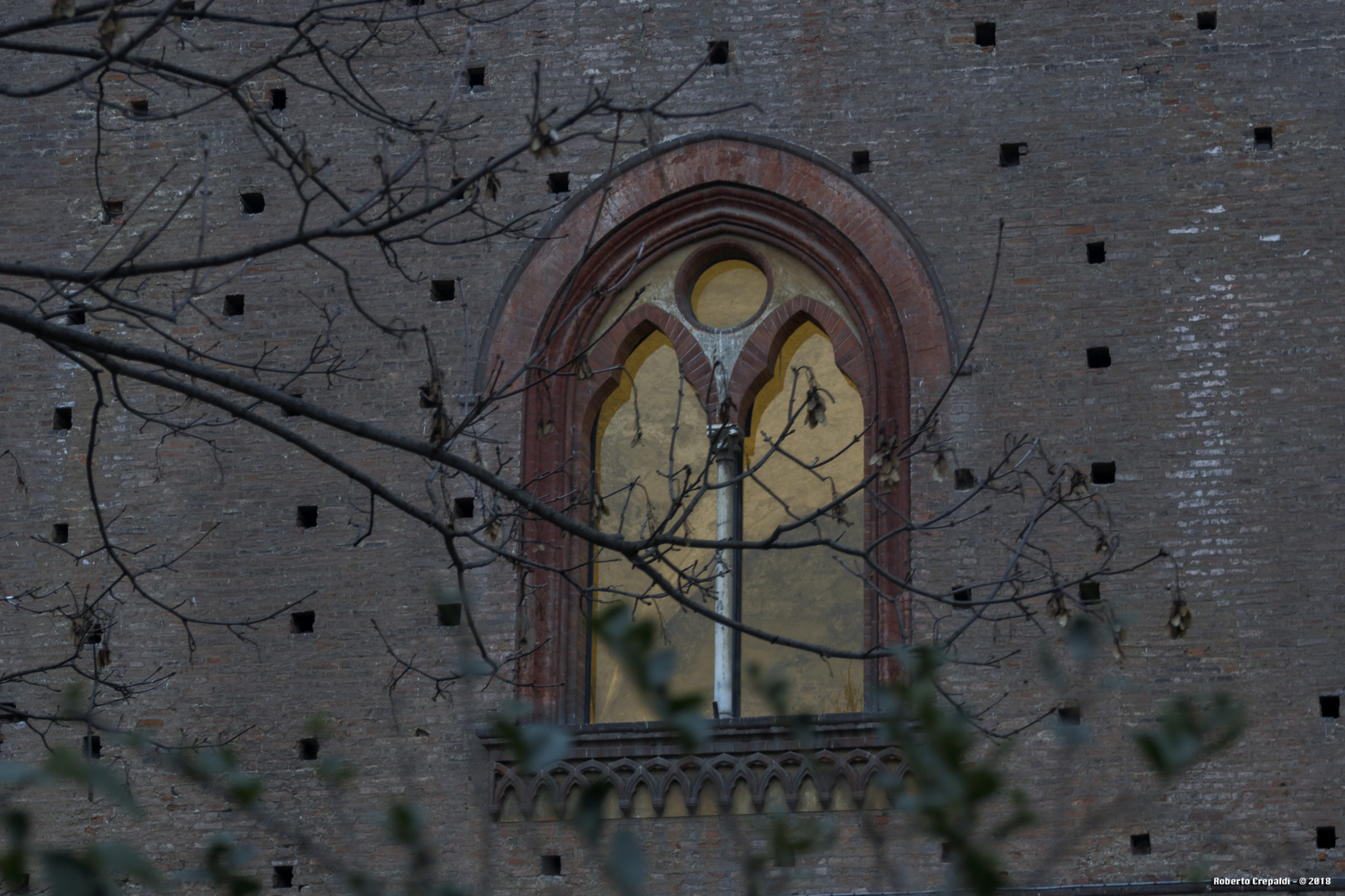 Finestra del castello, Pavia