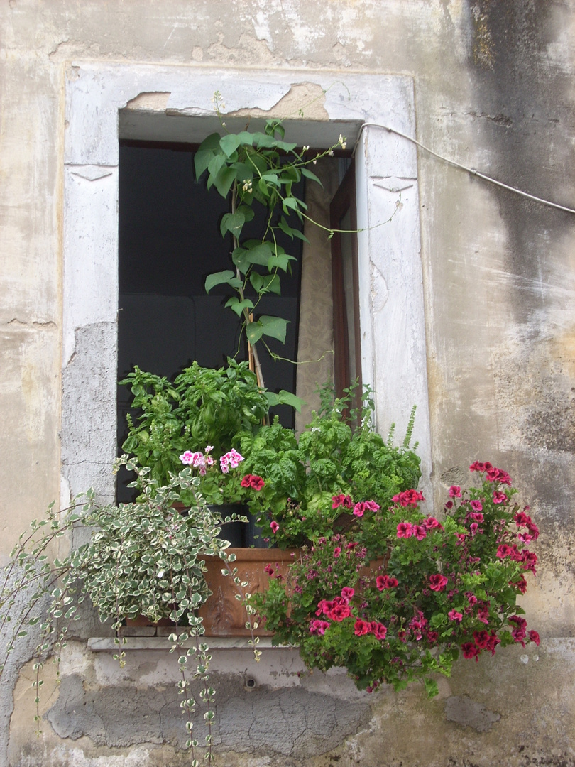 Finestra in paesello in campania, cilento