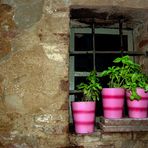 Finestre di Pienza