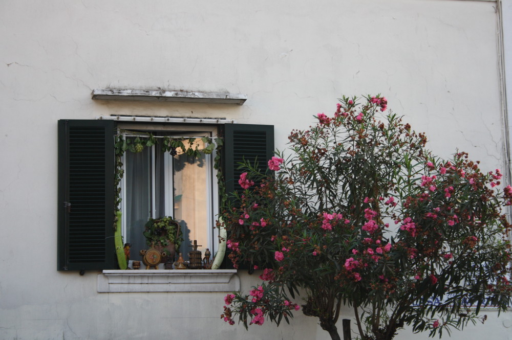 Finestrella di CAPRI