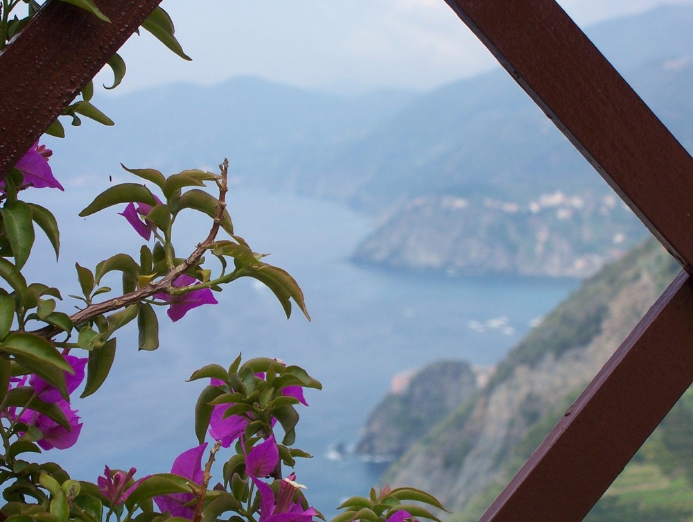 finestrella sulle cinque terre