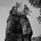 Fingal's Dog Stone