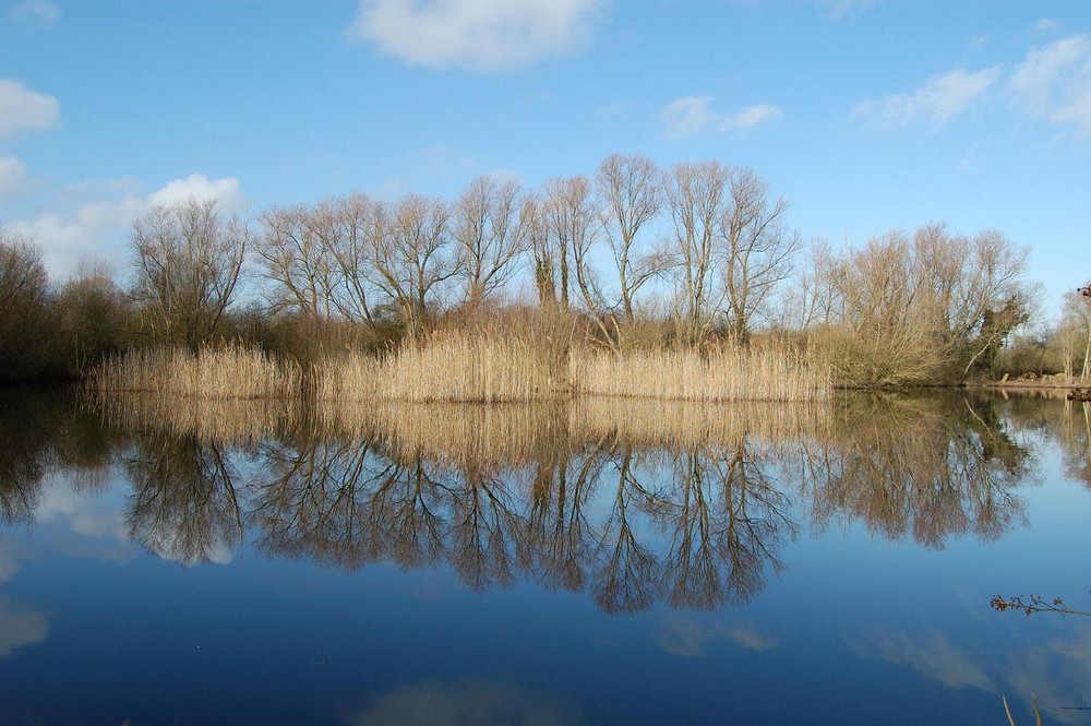 finger lake