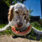 Finger weg von meiner Melone!