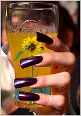 Fingernagelsonnenblume