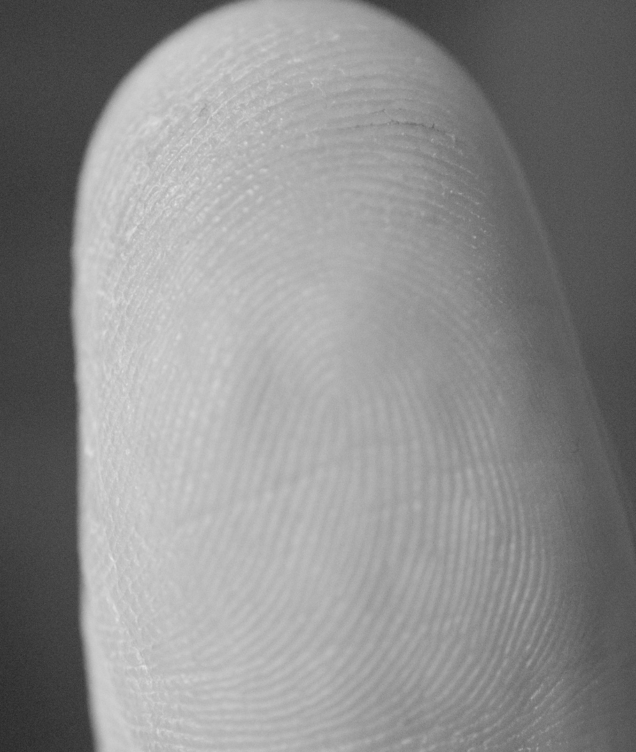 Fingerprint