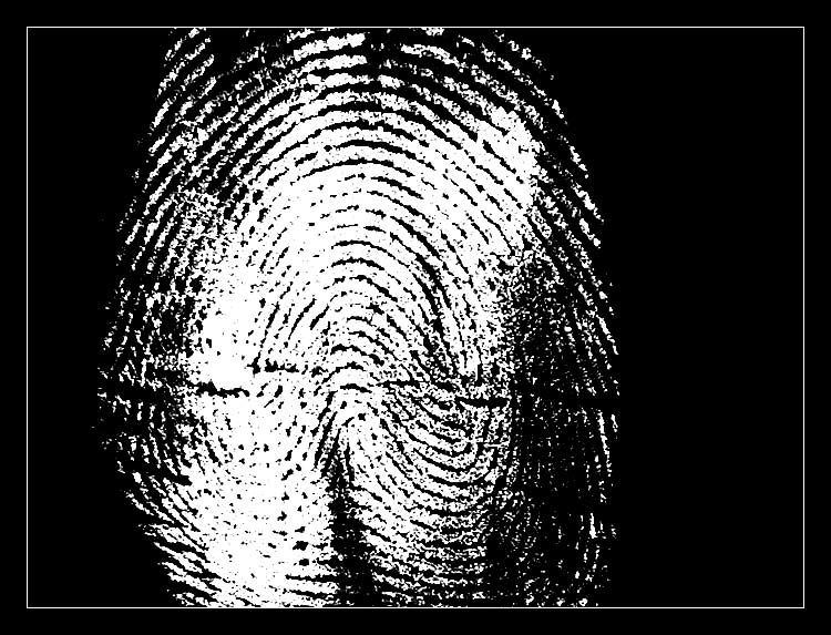 Fingerprint