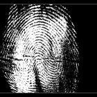 Fingerprint