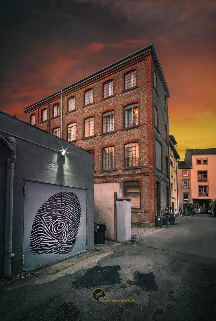 Fingerprint of Saarbrooklyn