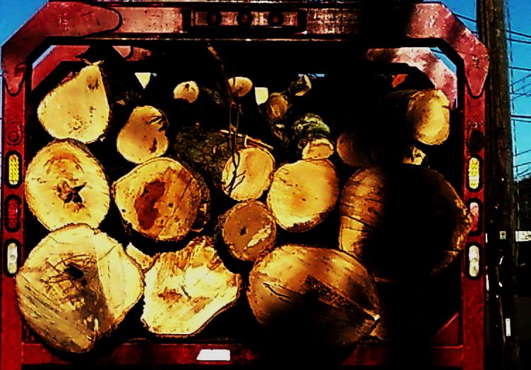 FINGERPRINTING OF THE LOGS