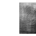 Fingerprints