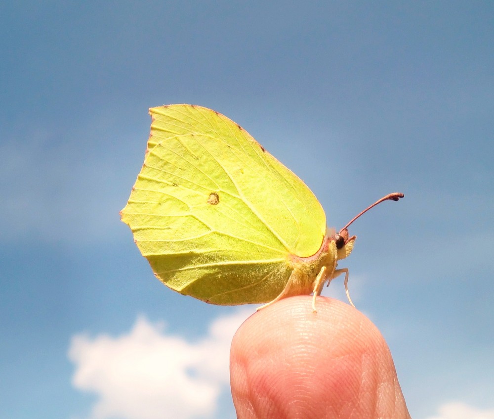 Fingerspitzengefühl