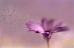 Fingerübung in lila