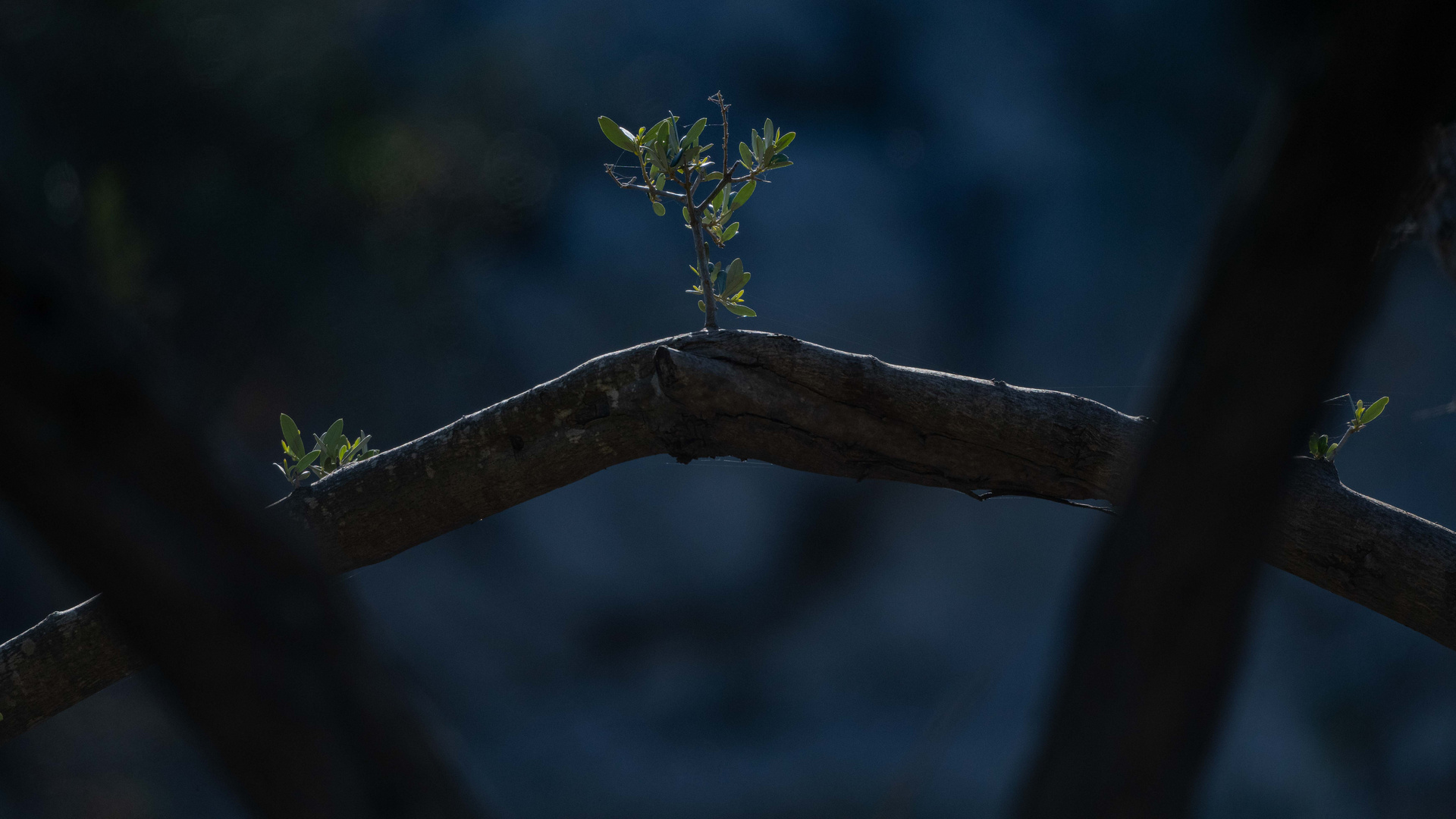 Fingerübungen mit 500mm 3