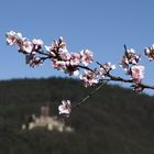 Fingerzeig auf die Burg Landeck