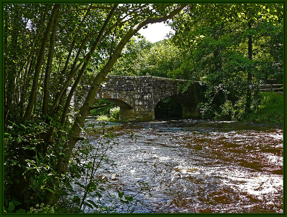 Fingle Bridge im Dartmoor 2