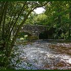 Fingle Bridge im Dartmoor 2