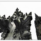 Finial - top of the Spire