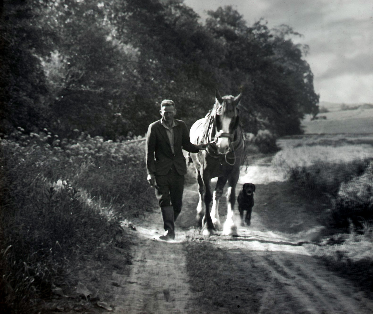 Finished Ploughing