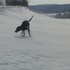 Finja im Schneesturm