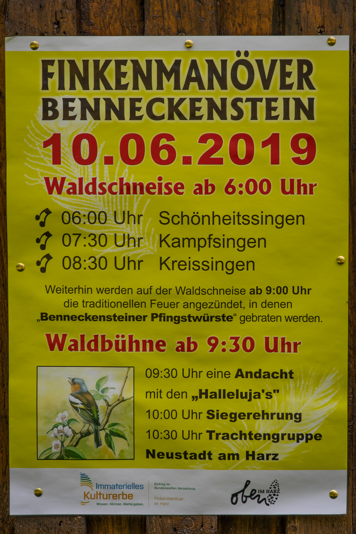 Finkenmanöver I - Benneckenstein im Harz