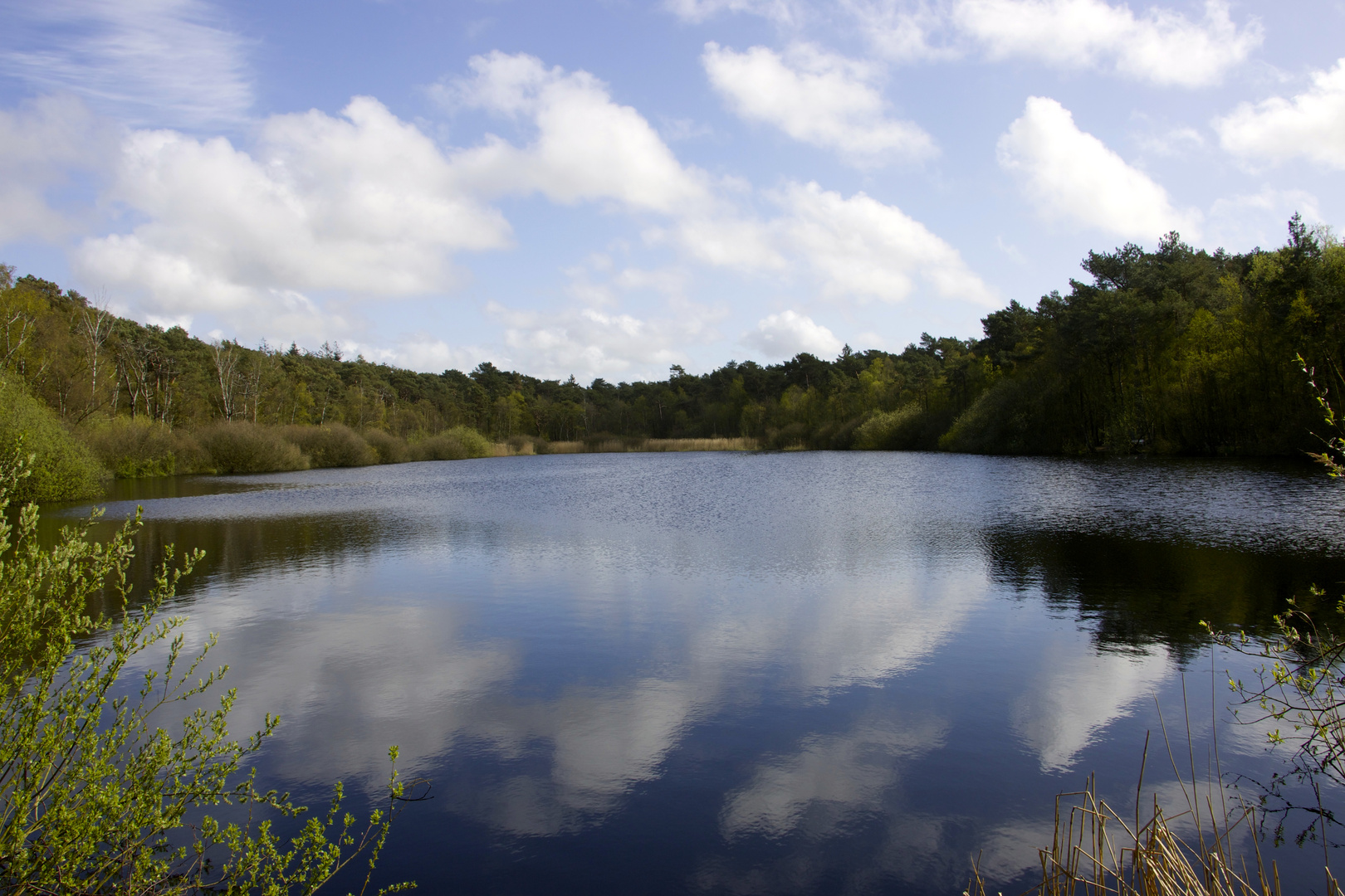 Finkenmoor - See im Wernerwald in Sahlenburg