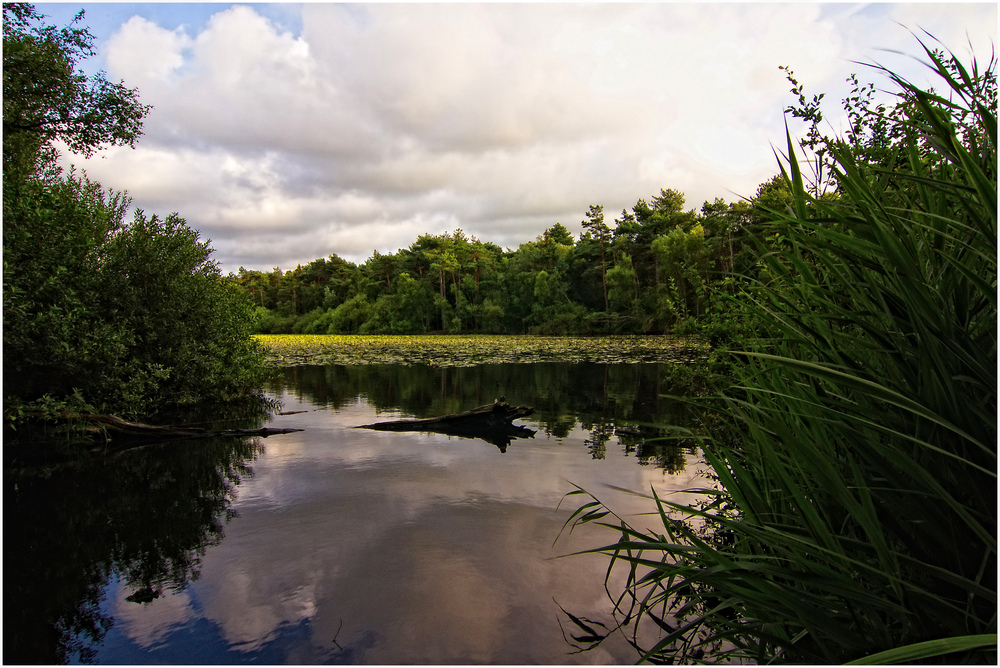 Finkenmoorweiher