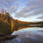 Finkenmoorweiher