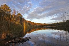 Finkenmoorweiher