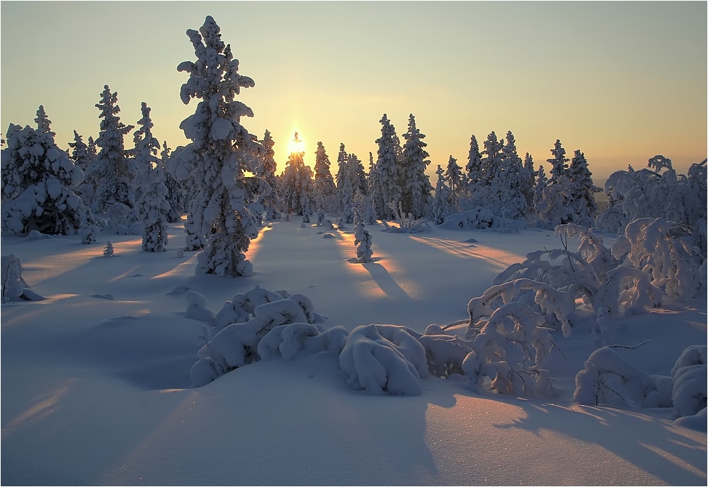 Finland - Winter