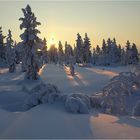 Finland - Winter