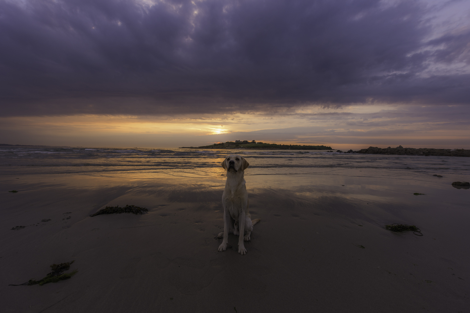 Finn am Strand von Dossen bei Sonnenuntergang