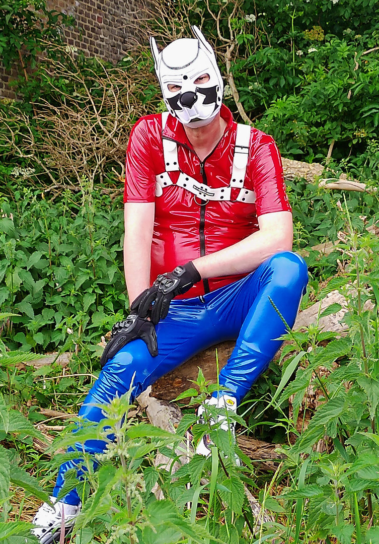 Finn in rot / blau Lack