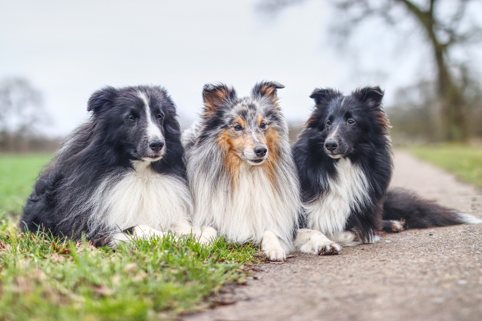 Finn, Louis und Isy 