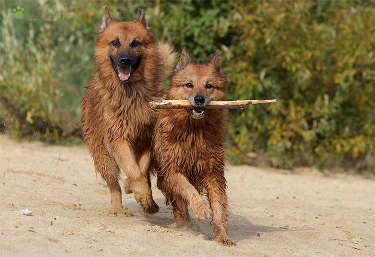 Finn und Liza